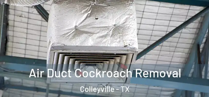  Air Duct Cockroach Removal Colleyville - TX