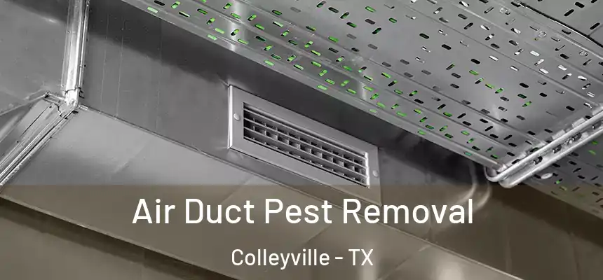  Air Duct Pest Removal Colleyville - TX