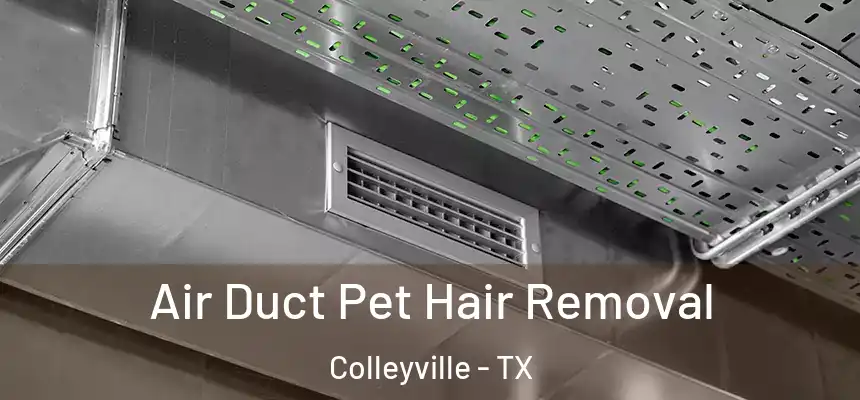 Air Duct Pet Hair Removal Colleyville - TX