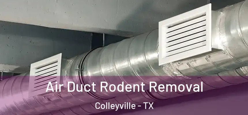 Air Duct Rodent Removal Colleyville - TX