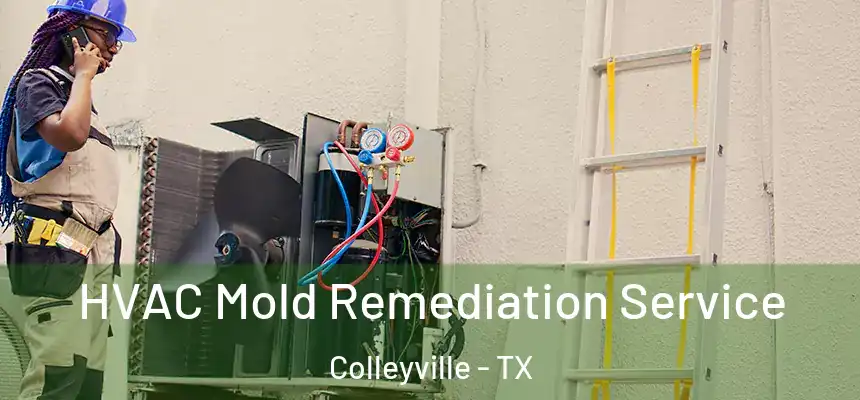 HVAC Mold Remediation Service Colleyville - TX