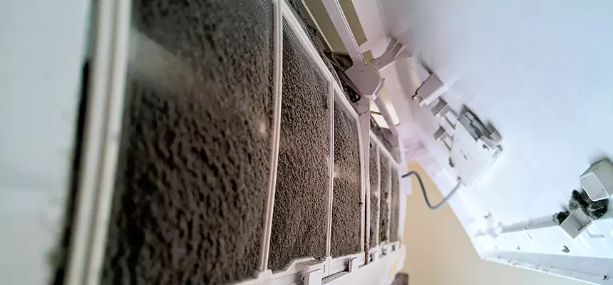 Preventive Air Duct Bacteria Removal in Colleyville