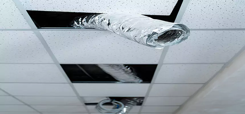 Affordable HVAC Sanitizing After Pest Removal in Colleyville