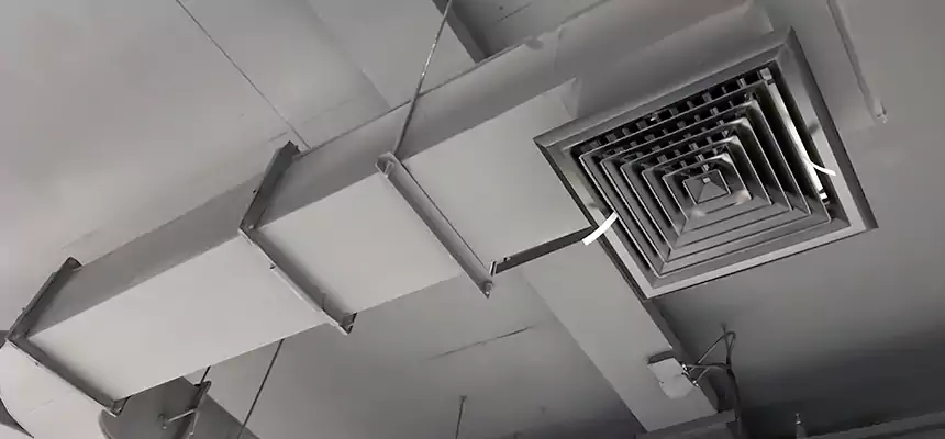 Restorative Allergy Relief Vent Cleaning – Coil, Blower & Housing Detail in Colleyville