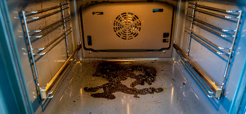 Our Dryer Vent Mold Cleaning Services in Colleyville, TX