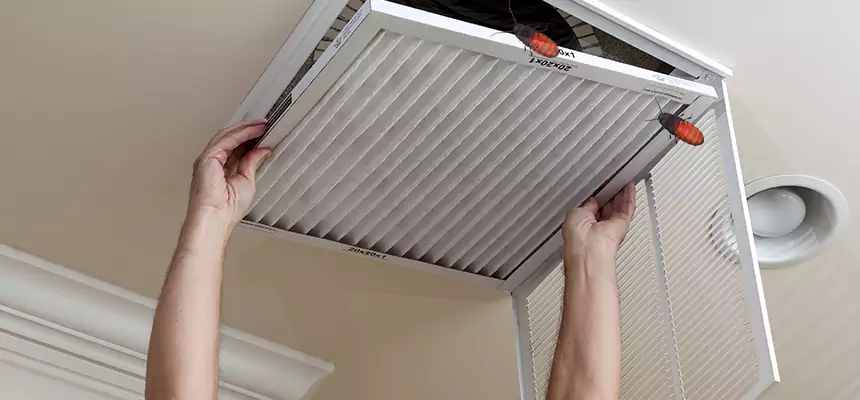 Our Insect Removal from Air Ducts Services in Colleyville, TX