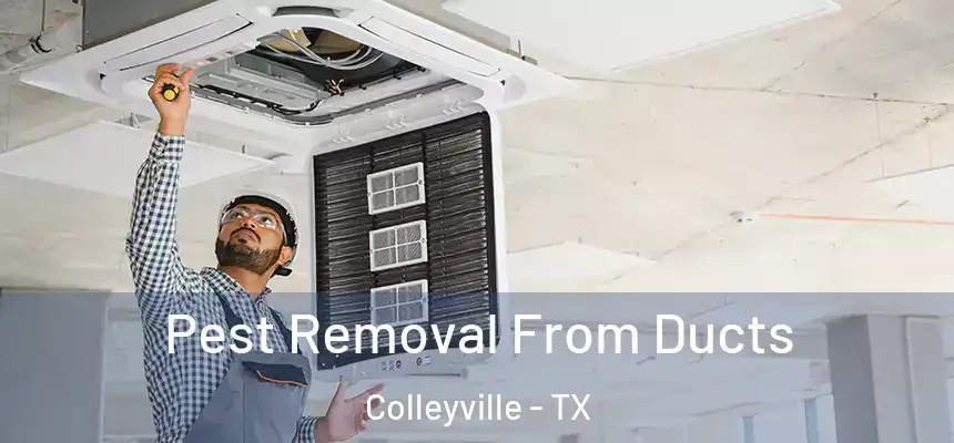  Pest Removal From Ducts Colleyville - TX