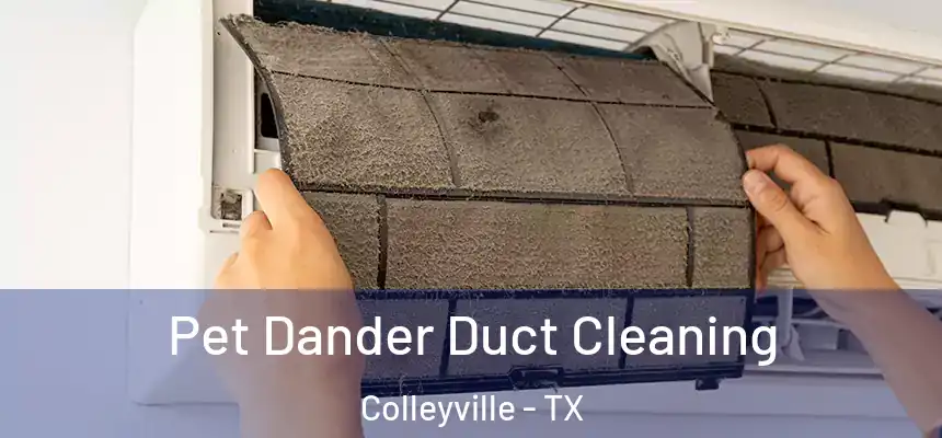 Pet Dander Duct Cleaning Colleyville - TX