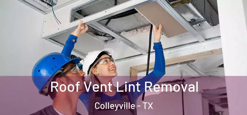 Roof Vent Lint Removal Colleyville - TX