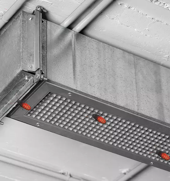 About Air Duct Cockroach Removal in Colleyville, TX