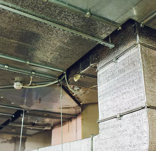 Why Homeowners & Businesses Trust Us in Colleyville, TX?